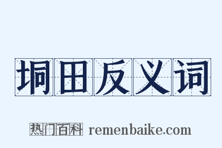 垌田反义词是什么意思的图片